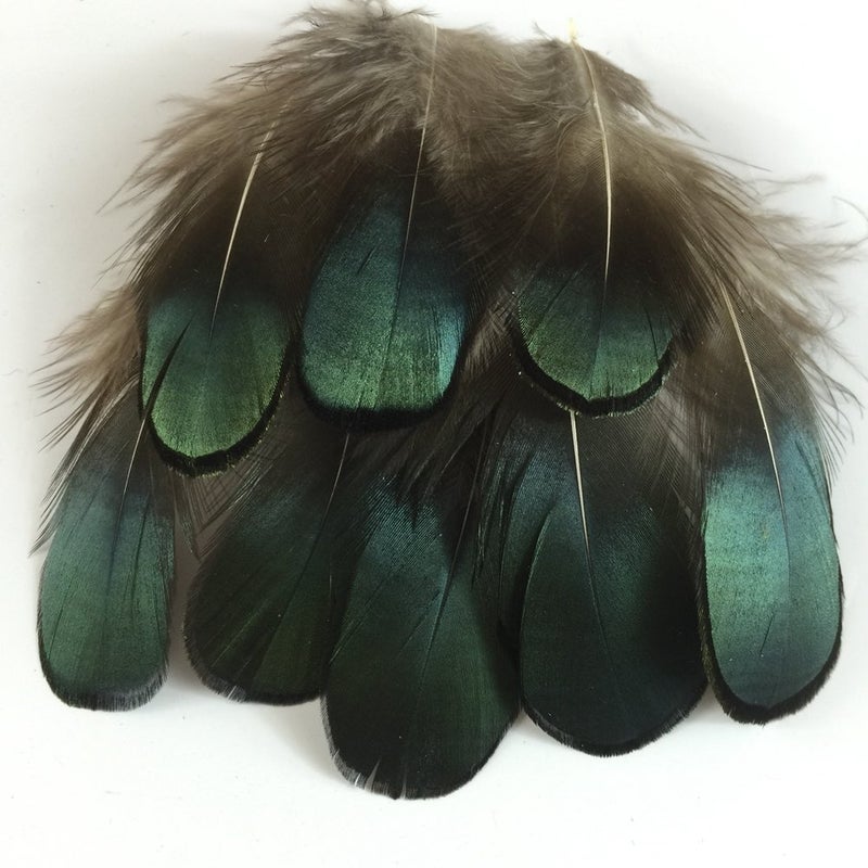 Sowder 50pcs Green Pheasant Plumage Feathers 1.5-3 Inches Home Wedding Decoration - Image 3